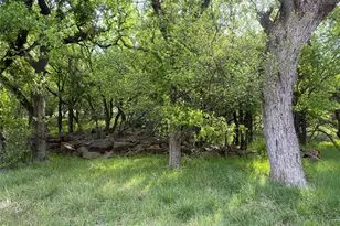 00 NE 9th Ave, Mineral Wells, TX 76067 - Photo 1
