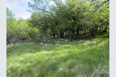 00 NE 9th Avenue, Mineral Wells, TX 76067 - Photo 10