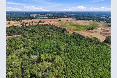 40.54Acres Tbd County Road 2314, Pittsburg, TX 75686 - Photo 20