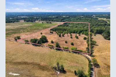 40.54Acres Tbd County Road 2314, Pittsburg, TX 75686 - Photo 8