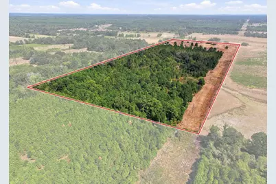40.54Acres Tbd County Road 2314, Pittsburg, TX 75686 - Photo 12