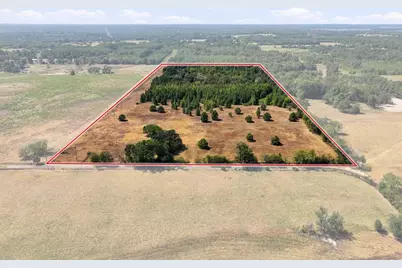40.54Acres Tbd County Road 2314, Pittsburg, TX 75686 - Photo 4