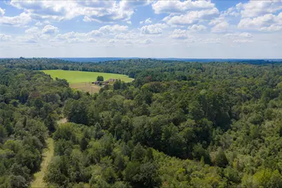 20436 Fm 315, Palestine, TX 75803 - Photo 6