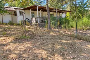 8301 Fm 251 S, Bivins, TX 75555 - Photo 8
