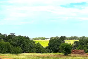 Tbd B Turpin Lake Rd, Poolville, TX 76487 - Photo 1
