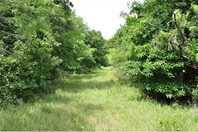 Tbd C Two Bush Road, Perrin, TX 76486 - Photo 20