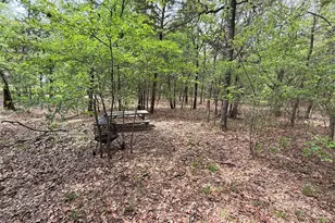 6435 Fm 17 Lots 68-77, Yantis, TX 75497 - Photo 14
