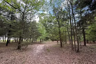 6435 Fm 17 Lots 68-77, Yantis, TX 75497 - Photo 32