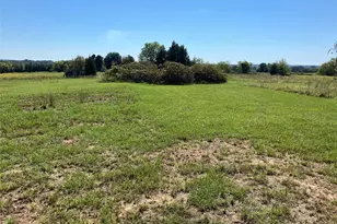 Tbd County Road 2311, Canton, TX 75103 - Photo 1