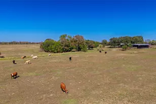 1586 Co Rd 4133, Cumby, TX 75433 - Photo 10