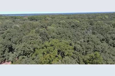 11015 Lakeview Drive NE, Quinlan, TX 75474 - Photo 8