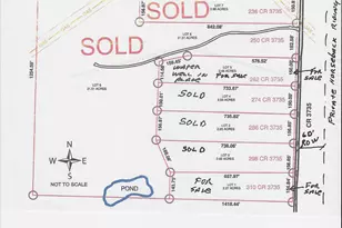 310 County Road 3735 Rd, Bridgeport, TX 76426 - Photo 1