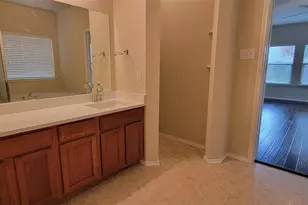 9509 Crooked Cat Dr, McKinney, TX 75072 - Photo 22