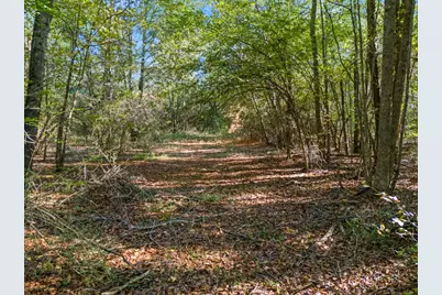 Tbd County Road 3324, 24 Ac, Pittsburg, TX 75686 - Photo 4