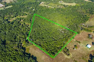 Tbd County Road 3324 24 Ac, Pittsburg, TX 75686 - Photo 1
