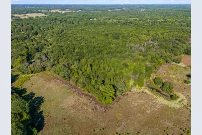 Tbd County Road 3324, 24 Ac, Pittsburg, TX 75686 - Photo 10