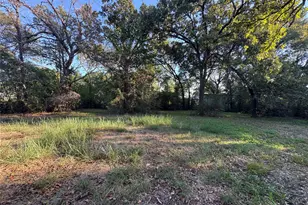 115 Seaside Dr, Gun Barrel City, TX 75156 - Photo 6