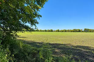 [Address not provided], Anna, TX 75409 - Photo 12