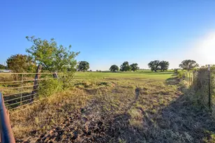 6101 Wild Cat Knob Rd, Tolar, TX 76476 - Photo 28