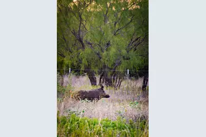 2023 Jesse's Run Rd, Graford, TX 76449 - Photo 18