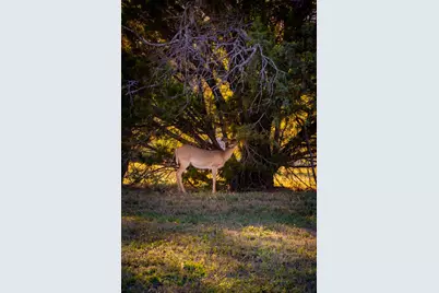 2023 Jesse's Run Rd, Graford, TX 76449 - Photo 16