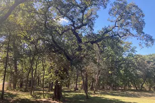 8840 Timber Ridge, LaRue, TX 75770 - Photo 18