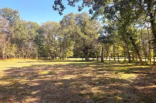 8840 Timber Ridge, LaRue, TX 75770 - Photo 26