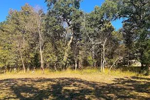 8840 Timber Ridge, LaRue, TX 75770 - Photo 10