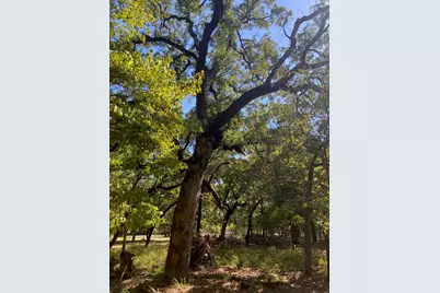 8840 Timber Ridge, LaRue, TX 75770 - Photo 8