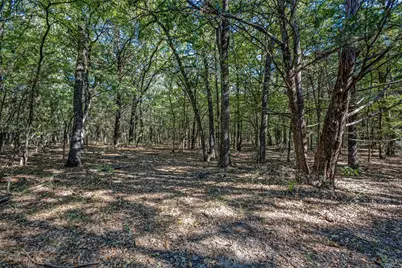 Td Pearce Street, Collinsville, TX 76233 - Photo 4
