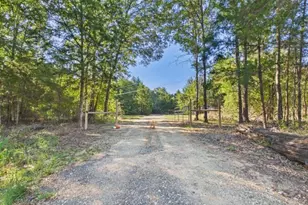 9480 Double Bridge Rd, Payne Springs, TX 75156 - Photo 12
