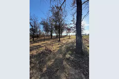297 Zebrastone Way, Poolville, TX 76487 - Photo 8