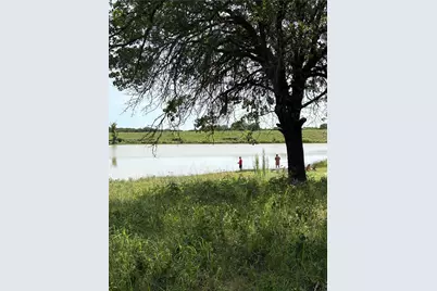 297 Zebrastone Way, Poolville, TX 76487 - Photo 10