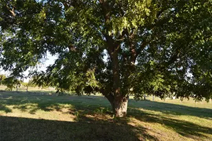 3345 Co Rd 1125, Farmersville, TX 75442 - Photo 24