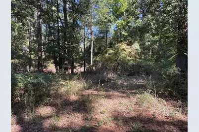 8289 St Hwy 155, Frankston, TX 75763 - Photo 28