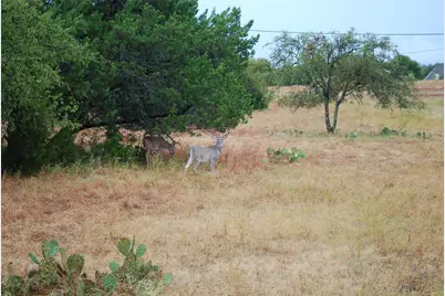 42201 Preston Trail, Whitney, TX 76692 - Photo 4