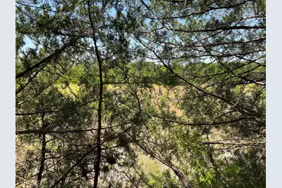 11Ac Pilot Grove Road, Whitewright, TX 75491 - Photo 4