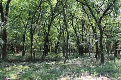 0000 Blackjack Pkwy, Nocona, TX 76255 - Photo 14