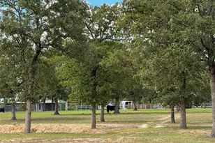 7700 Co Rd 3700, Athens, TX 75752 - Photo 36