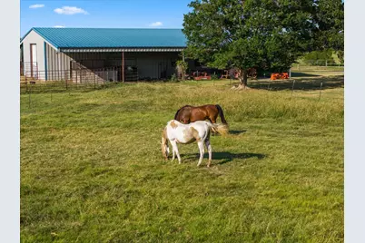 351 County Road 3378, Emory, TX 75440 - Photo 6