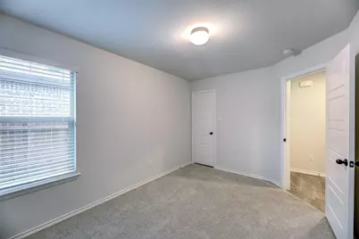 11436 Alpine Springs Drive, Aubrey, TX 76227 - Photo 18