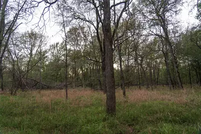902 Vz County Road 3710, Edgewood, TX 75117 - Photo 36