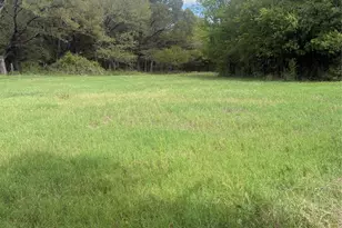 5115 County Rd 423, Grandview, TX 76050 - Photo 26