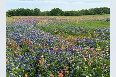 00 000 Fm-660, Ennis, TX 75119 - Photo 4