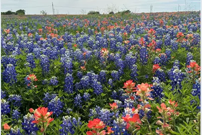 00 00 Fm-660, Ennis, TX 75119 - Photo 6