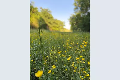 0000 County Road 855, Teague, TX 75860 - Photo 20