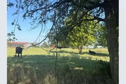 15575 County Road 116, Mabank, TX 75147 - Photo 14