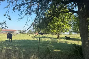 15575 Co Rd 116, Mabank, TX 75147 - Photo 14