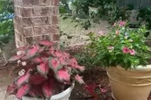 [Address not provided], Abilene, TX 79602 - Photo 16