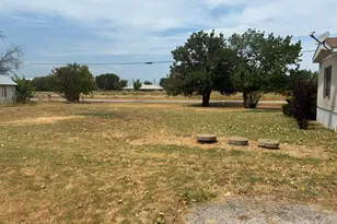 102 S Houston St, Millsap, TX 76066 - Photo 14
